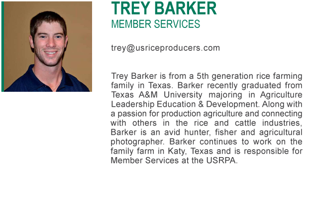 Trey